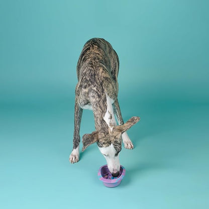 CHEWFFON Easter Dog & Cat Lick Mat Bowls, BPA-Free Silicone Slow Feeder Bowl with Suction Cups, Non Slip Pet Food Bowl Reduces Boredom and Anxiety, Dishwasher Safe, Lavender Purple Small