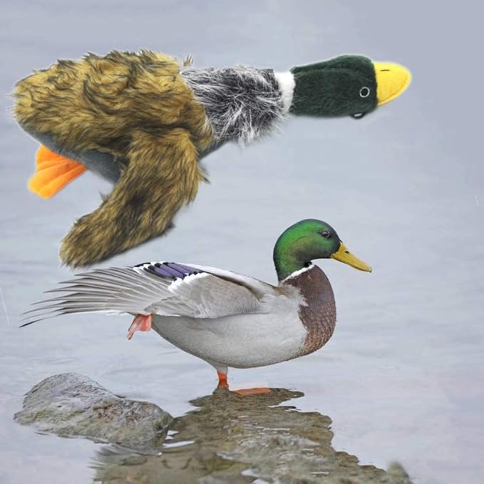 JKW Mallard Duck Plush & Stuffed Toys, Squeaky Medium & Large Duck Dog Toys, 16'', 1 Pack