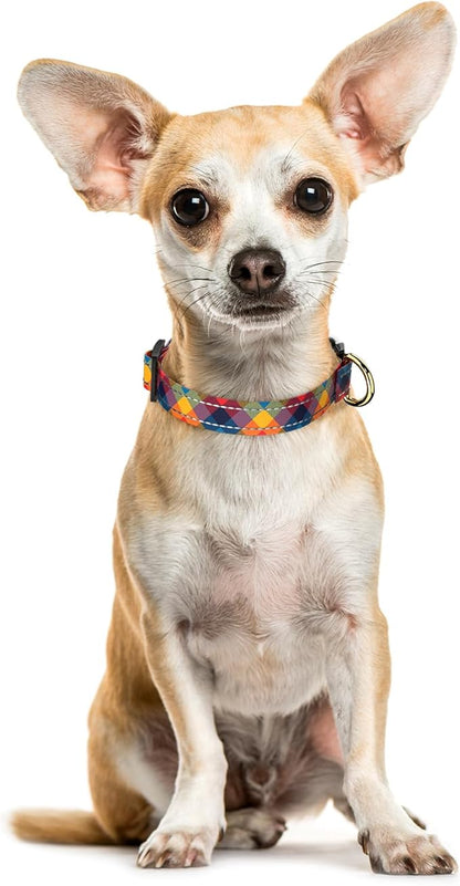 Reflective Dog Collar for Extra Small Dogs, Cute Boho Adjustable Heavy-Duty Nylon Puppy Collar for Boy and Girl Female, Soft Pet Accessories with Quick Release Buckle, Colorful Tartan