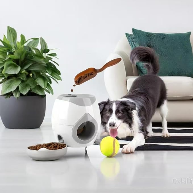 Latest Automatic Dog Ball Launcher Tennis Ball Reward Machine for Small Medium Large Dogs Indoor Outdoor Training Automatic Feede for Interactive Dog Training, pet Play and Feeding Machine