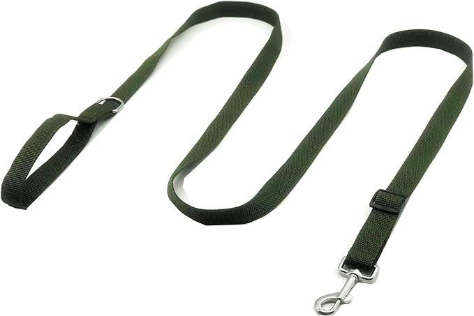 TAIAN Adjustable Nylon Dog Leash, 6FT/10 FT Long Dog Leashes for Small Medium Large Dogs (1 in x 6 ft, Green)