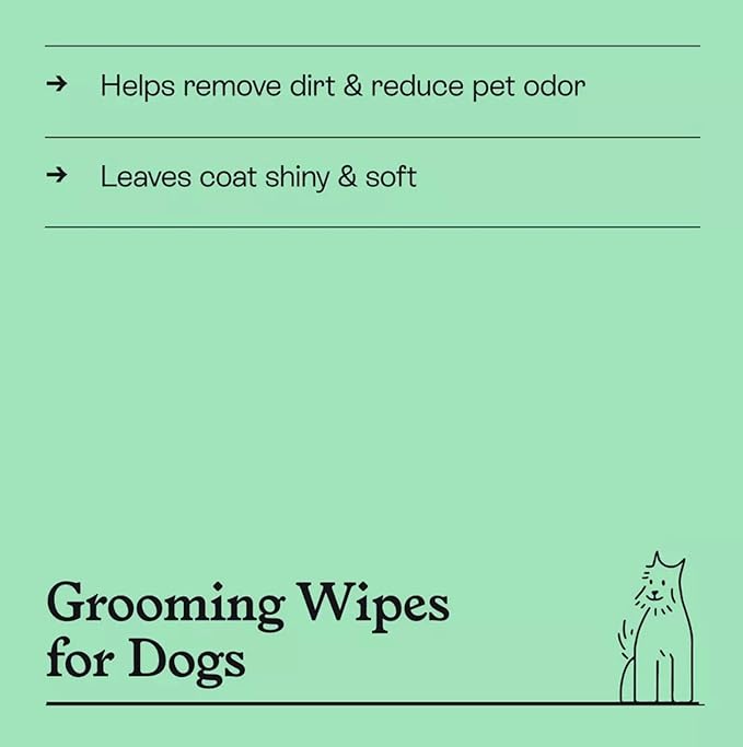 Kindfull Dog Grooming Wipes – 1 Pack (60 Wipes), Botanical Mint Scent – Gentle, pH-Balanced Pet Wipes for Paws & Fur – Plant-Based, Alcohol-Free – 7.9" x 7.7" Each