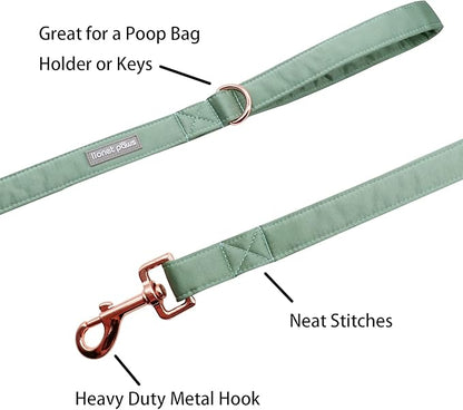 Lionet Paws Dog Leash - Silk Green Leash for Small Medium Large Dogs Matching Collar for Girl and Boy
