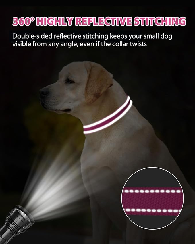 Joytale Dog Collars for Medium Dogs, Comfortable Double-Sided Reflective Nylon Collar for Night Safety, Adjustable Quick-Release for Active Pets, Hotpink, M (1" Width)