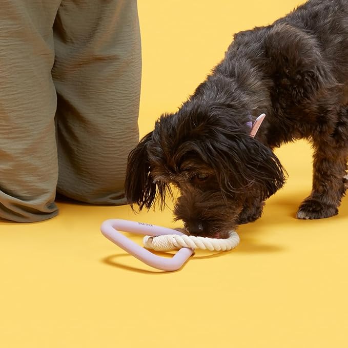 Peps Pet Toy Natural Rubber Triangle w/Cotton Rope (Purple, Small)