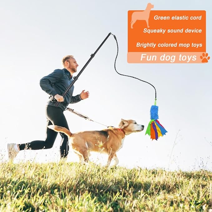 ASOCEA Flirt Pole for Dogs,Interactive Dog Toy with Squeaky Plush Rope Lure Toy,Dog Teaser Wand for Large Medium Small Dog Puppy Outdoor Exercise & Training