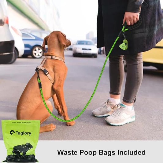 Taglory Rope Dog Leash 6 FT with Comfortable Padded Handle, Highly Reflective Threads Leash and Anti-Tangle Clip for Walking Small Dogs, 3/8 inch, Green