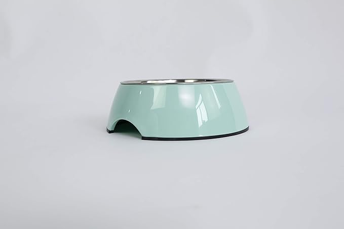 Pet Bowls Stainless Steel Dog Cat Pet Bowl Universal Pet Water and Food Bowls 4 Sizes and 5 Colors Available (XL, Green)