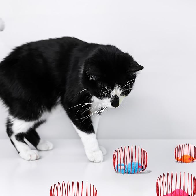 5Pack Cat Spring Balls for Cats, Colorful Cat Toy Springs for Cats with Steel Wire Springs (Random Colors)