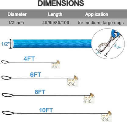 MayPaw 4/6 /8/10 FT Dog Leash, Classic Solid Colors, Strong Nylon Rope Dog Leash Reinforced with Leather Tailor Connection Heavy Duty Silver Clasp (Blue, 6ft*1/2")
