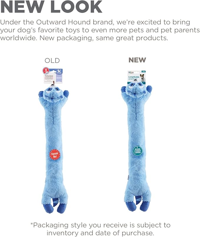 Outward Hound Longidudes Raccoon Plush & Squeaky Dog Tug Toy