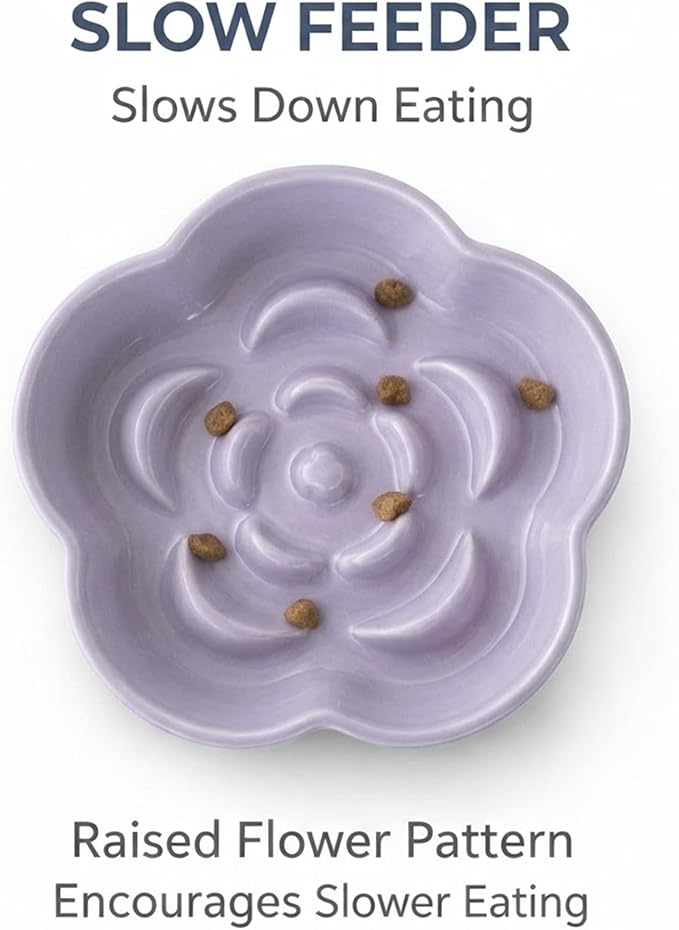 Ceramic Elevated Slow Feeder Cat Bowl, Raised and Gently Tilted Feeding Dish with Maze Design, Whisker-Friendly, Easy to Clean, for Indoor Cats and Small Dogs (Yellow/Purple)