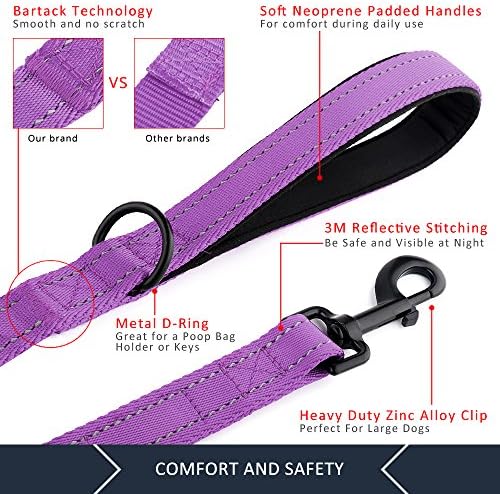 Plutus Pet Double Handle Dog Leash, 4 FT Long, for Medium Large Dogs - Image 4