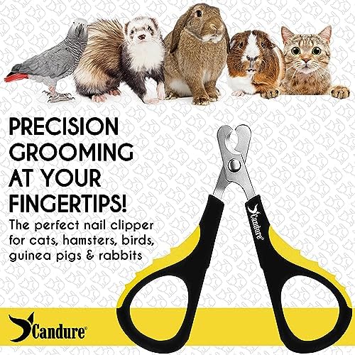 Candure Cat Nail Clipper Stainless Steel Cat Claw Trimmers for Rabbits, Guinea Pigs, Birds, Puppies, Kittens and Small Animals Pet Nail Clipper for Professional and Home Use (Yellow) - Image 6