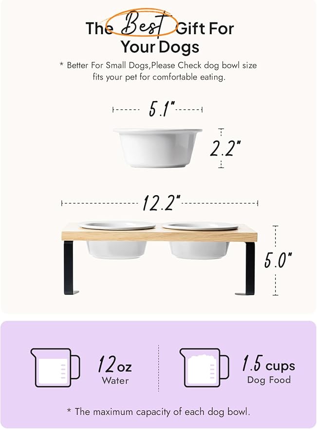 Elevated Dog Bowls, Raised Dog Bowl Stand with Two 5.1 inch Ceramic Bowls, Non-Slip Cat Food and Water Dish for Small and Medium Breed, White