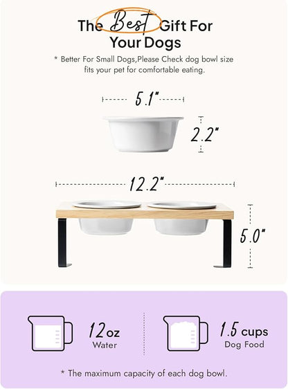 Elevated Dog Bowls, Raised Dog Bowl Stand with Two 5.1 inch Ceramic Bowls, Non-Slip Cat Food and Water Dish for Small and Medium Breed, White