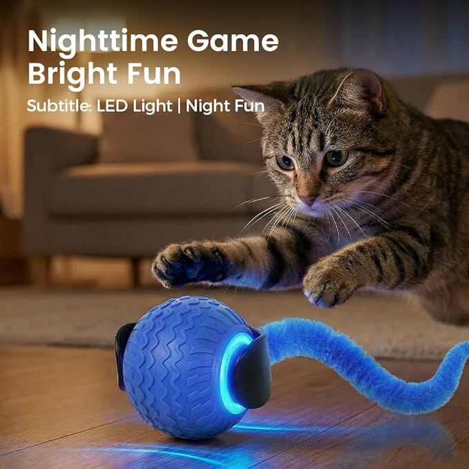 Interactive Toys for Cats, 2026 New Interactive Cat Toy Ball, Automatic Moving Cat Toy for Indoor Use, Rechargeable Feather Tail Cat Toy with Stimulation for Small Medium Large Cats (2 * Blue)