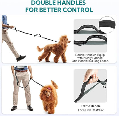 Hands Free Dog Leash, Double Dog Leash with Waist Bag, Double Padded Handles, Dog Walking Running Accessory, (Large, 26-120 lbs)