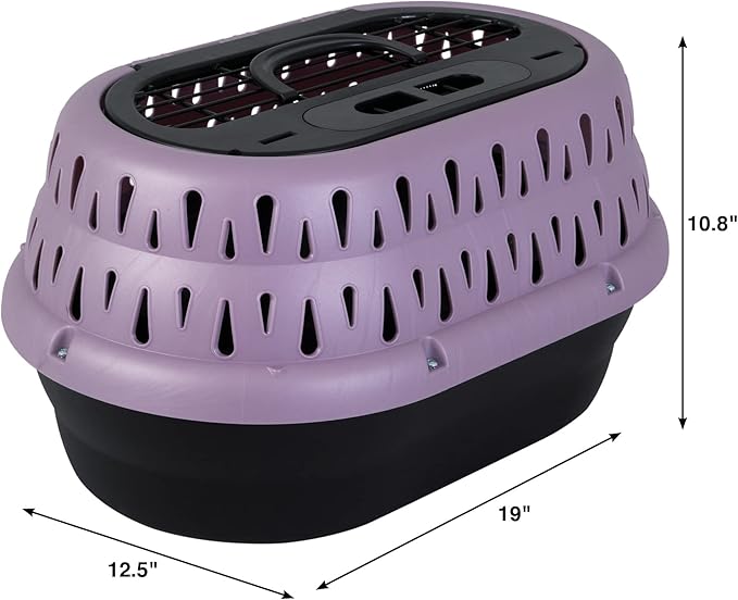 Petmate Top Load Plastic Cat Kennel for Small Dogs, Puppies & Cat Carriers, One-Door, Top Loading, Made in USA, 19" for Pets Up Tp 10 lb, Purple