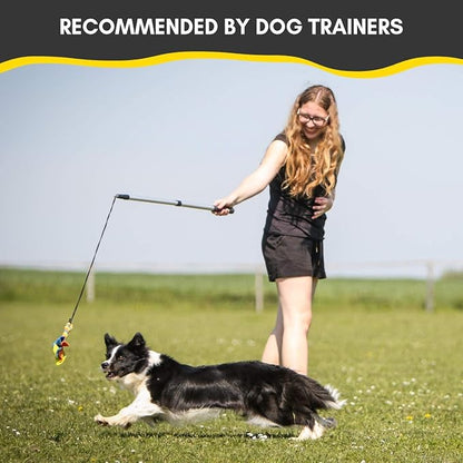 YES4QUALITY Flirt Pole for Dogs - Safe & Strong for Large Breeds with Non-Bungee Cord - Spring Pole for Tug of War, Interactive Play & Puppy Training - Heavy Duty Teaser Wand for Outdoor Exercise