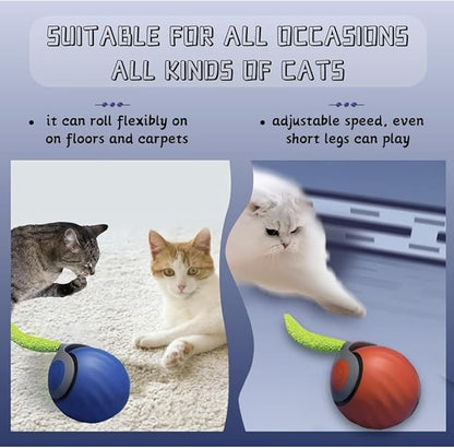 2 Packs Speediest Tail 2.0 Cat Toy,Interactive CatToy,CatToys for Indoor Cats,Chewie Viral Cat Ball,Adjustable Sports Rolling Toy,Electric Rolling Ball Christmas Birthday Gift for Pets