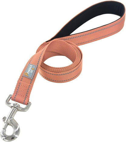 Reflective Dog Leash 6 FT Padded Handle Nylon Dogs Leashes for Small Dogs Coral