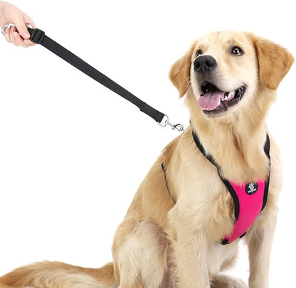 VavoPaw Dog Seat Belt, Safety Vest Dog Car Harness with Adjustable Buckle Dog Seat Belt for Vehicle Nylon Pet Safety Seat Belts Heavy Duty(L, Magenta)