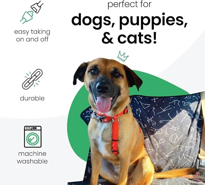 Molly Mutt 3-in-1 Back Seat Cover for Dogs, 100% Cotton Canvas Back Seat Hammock with Headrest Straps, Belt Slots, & Anchors, Non-Skid Cargo Area Cover, Machine Washable, No Harmful Chemicals, 56"x56"