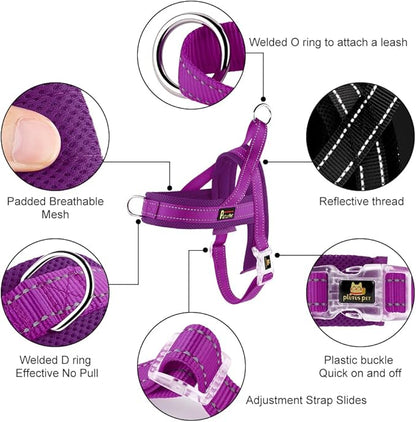 Plutus Pet No Pull Dog Harness with Breathable Mesh Padded, Adjustable Reflective Escape Proof Dog Harness, Quick Fit Dog Vest Harness for Small Medium Large Dogs(S, Purple)