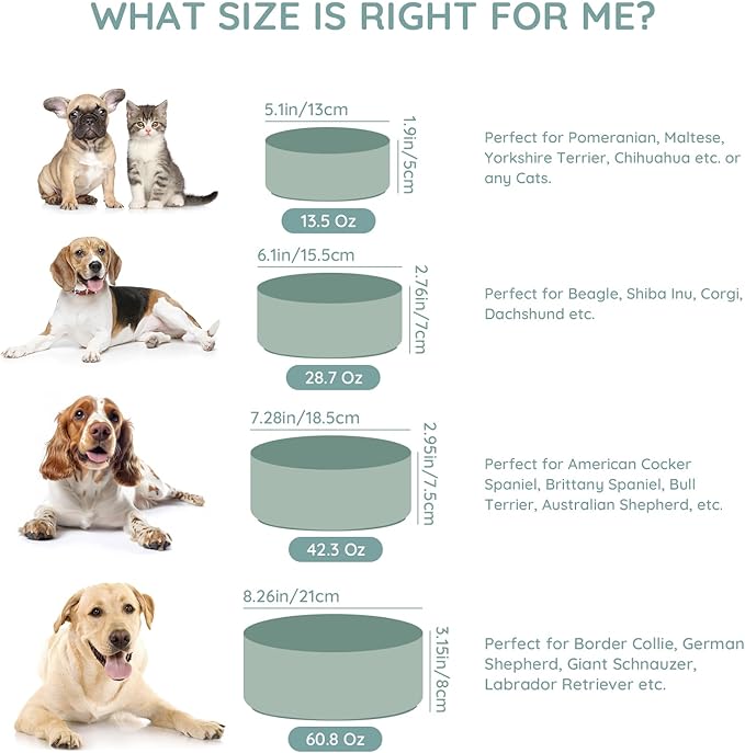 SPUNKYJUNKY 13.5OZ Ceramic Dog and Cat Bowl, Modern Cute Weighted Food Water Bowl for Replacement Morandi Green (2 Pack)