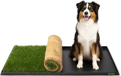 DoggieLawn XL Tray - Heavy Duty 4ft x 2ft Dog Potty Holder - Washable Reusable Floor Protection - Indoor/Outdoor Training Tray for Large Dogs