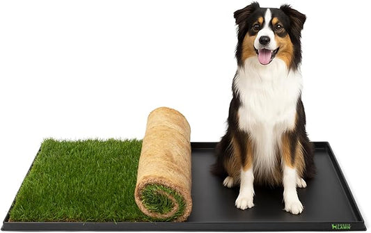 DoggieLawn XL Tray - Heavy Duty 4ft x 2ft Dog Potty Holder - Washable Reusable Floor Protection - Indoor/Outdoor Training Tray for Large Dogs