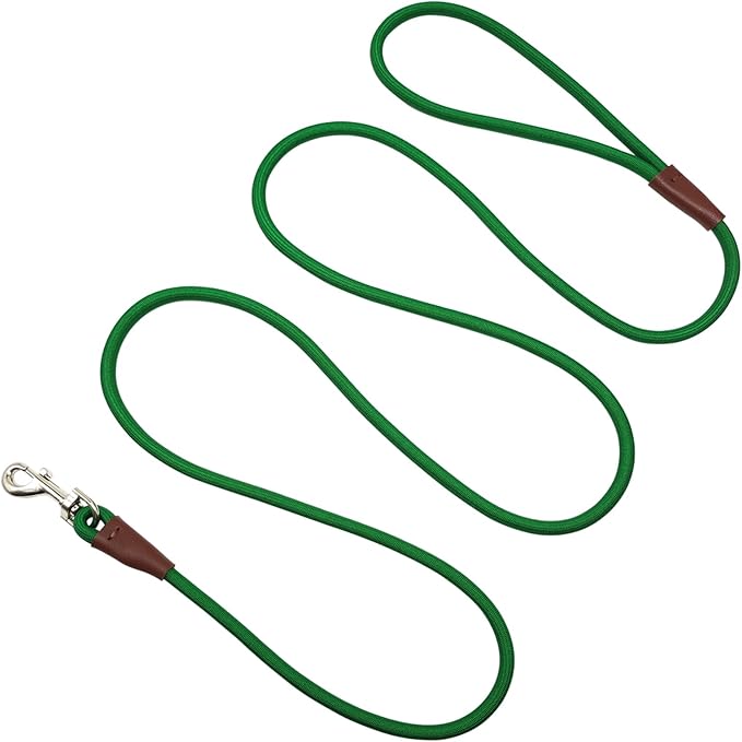 Small Dog Leash, 1/4" by 6/8/10 FT Lightweight Strong Nylon Rope Leash, Bright Classic Lead for Small Pets/Puppy (8ft, Dark Green)
