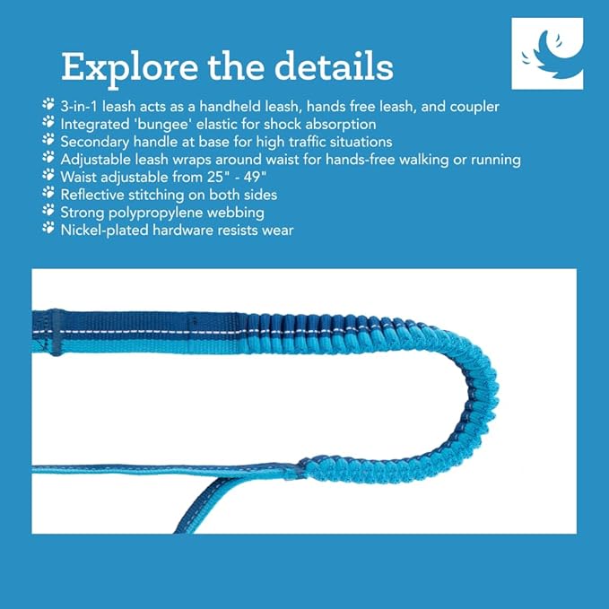 RC Pets Bungee Active Dog Leash, Hands-Free 4-in-1 Dog Leash, Arctic Blue/Teal