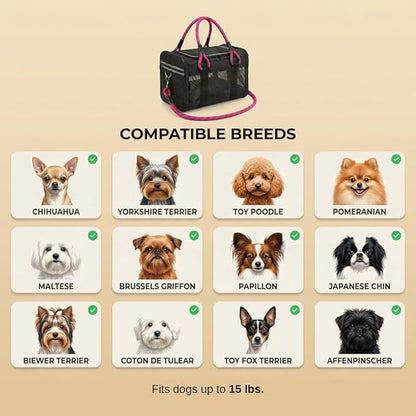 Soft-Sided Dog & Pet Carrier | for Car Rides, Trains, Errands & Daily Outings | Fits Pets Up to 15 lbs | 18" L x 11.5" H | Yorkies, Chihuahuas, Toy Poodles, Maltese & More