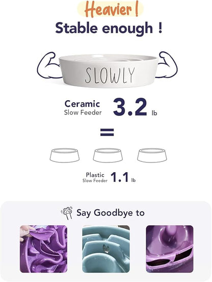 Ceramic Slow Feeder Dog Bowls Small Breed, 0.6 Cups Dog Food Dish for Fast Eaters, Puzzle Bowl for Small Dogs and Cats,White