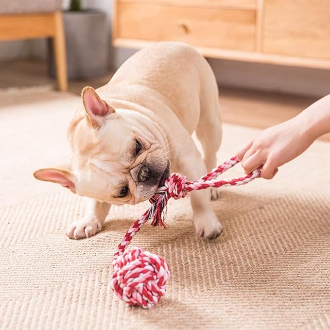 6 Pack Ferret Rope Chew Toys Durable Knotted Rope Tug Perfect for Teething Mammals Cotton Claws Grinding Toys Interactive Dog Cat Toy Set