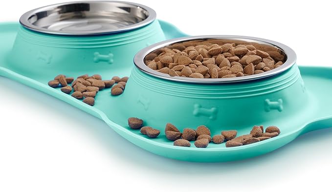 Hubulk Pet Dog Bowls 2 Stainless Steel Dog Bowl with No Spill Non-Skid Silicone Mat + Pet Food Scoop Water and Food Feeder Bowls for Feeding Small Medium Large Dogs Cats Puppies (Large, Mint Green)