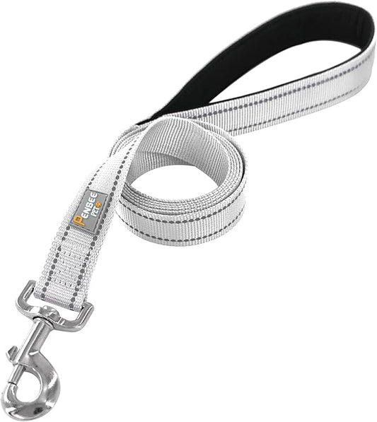 Dog Leash 6 FT Padded Handle Nylon Reflective Dogs Leashes for Medium Dogs Silver
