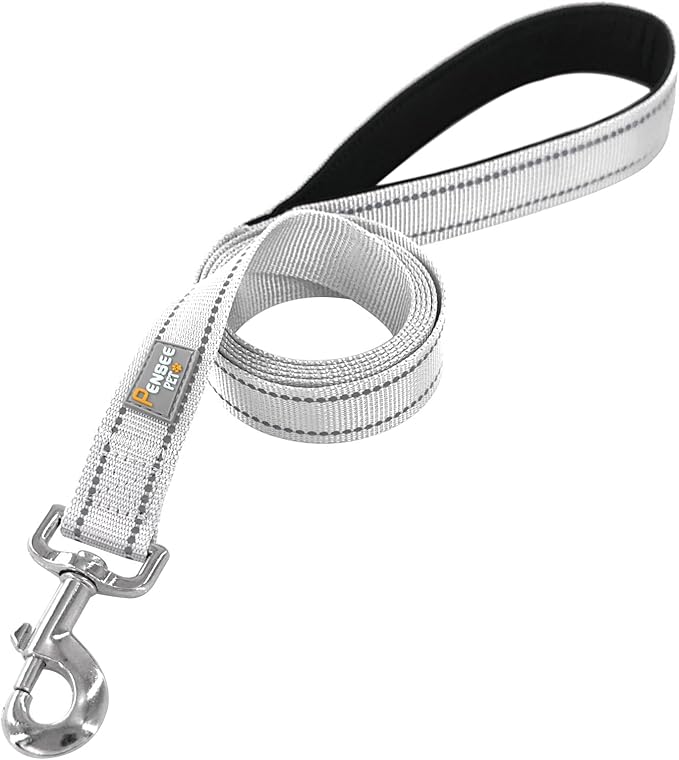 Dog Leash 6 FT Padded Handle Nylon Reflective Dogs Leashes for Small Dogs Silver