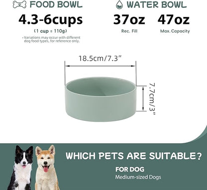 Ceramic 7.3inch Dog Bowl, Food and Water Bowl for Medium Breed Dog, Pet Feeder for Replacement (Single Bowl, Light Green)