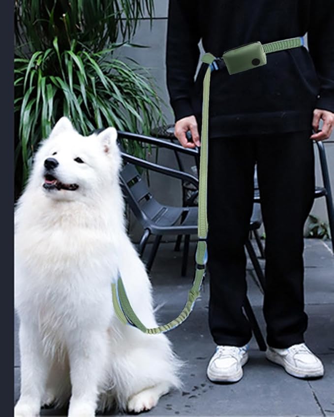 Hands Free Dog Leash for Large Medium Dogs Heavy Duty Bungee Reflective Adjustable Waist Leashes for Walking Running with Zipper Pouch 6-9FT (Green-1 with 6-9FT)