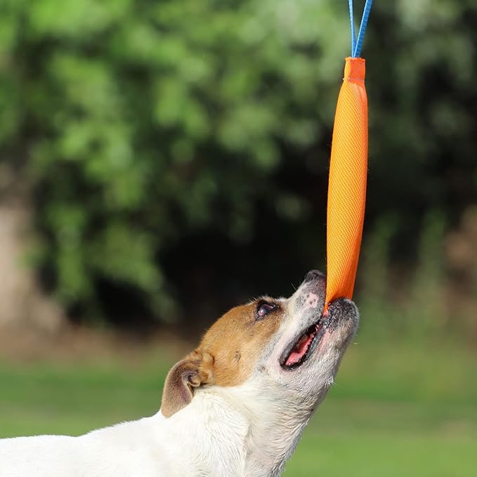 K9 Dog Bite Tug Toy with 2 Strong Handle - Made of Durable & Tear-Resistant Fire Hose - Perfect for Tug of War, Fetch & Puppy Training - Ideal Pull Toy for Medium to Large Dogs, 10 Inches