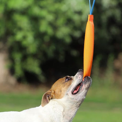 K9 Dog Bite Tug Toy with 2 Strong Handle - Made of Durable & Tear-Resistant Fire Hose - Perfect for Tug of War, Fetch & Puppy Training - Ideal Pull Toy for Medium to Large Dogs, 10 Inches