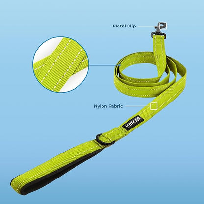 Best Pet Supplies Voyager Reflective Dog Leash or Collar with Neoprene Handle, for Small, Medium, and Large Breed Puppies, Cute and Heavy Duty for Walking, Running and Training - Lime Green (Leash), M