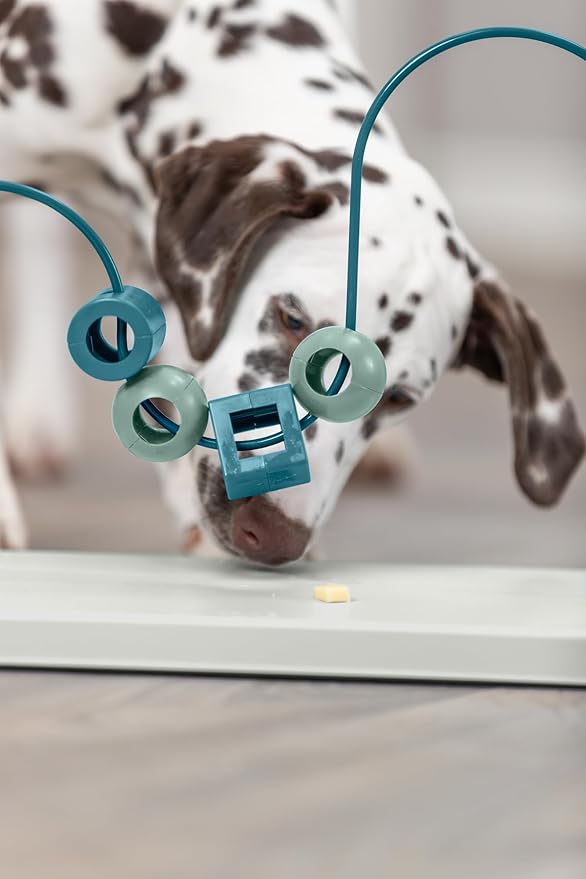 Trixie Skills Loop Dog Enrichment Toy, Advanced Level 4 Food Puzzle for Dogs, Interactive Treat Game for Smart Pups