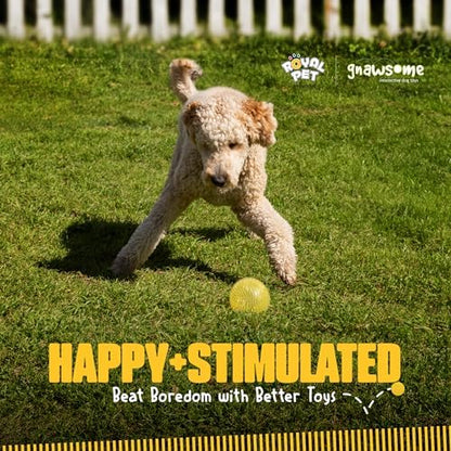 Gnawsome™ 4.5” Spiky Squeaker Ball Dog Toy - Extra Large, Cleans Teeth and Promotes Good Dental and Gum Health for Your Pet, Colors will vary, 4.5" - Image 6