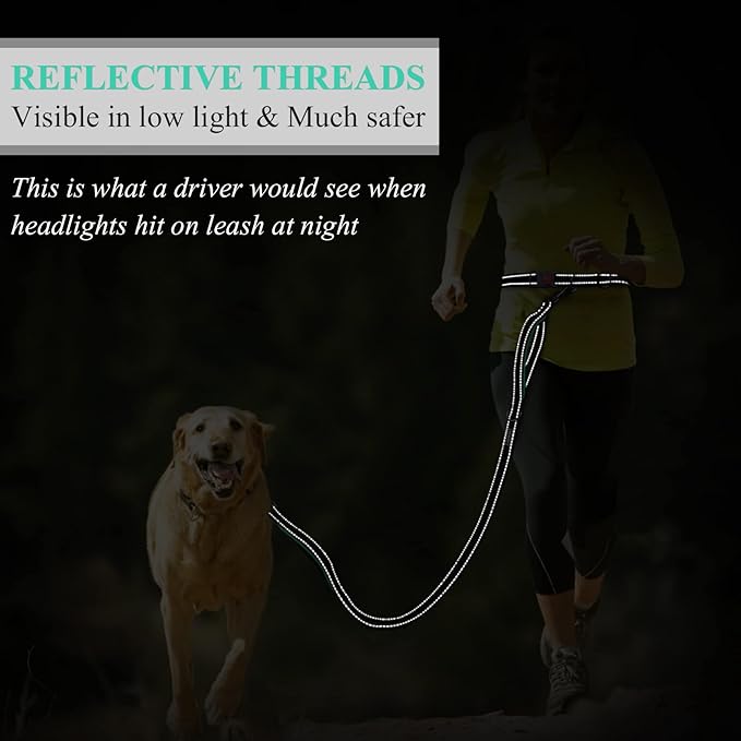 VIVAGLORY Hands Free Dog Leash Bungeeone Running Dog Leash with Waist Belt for Running Walking & Jogging, Bungee & Around Waist for Pet, S, Black/Turquoise