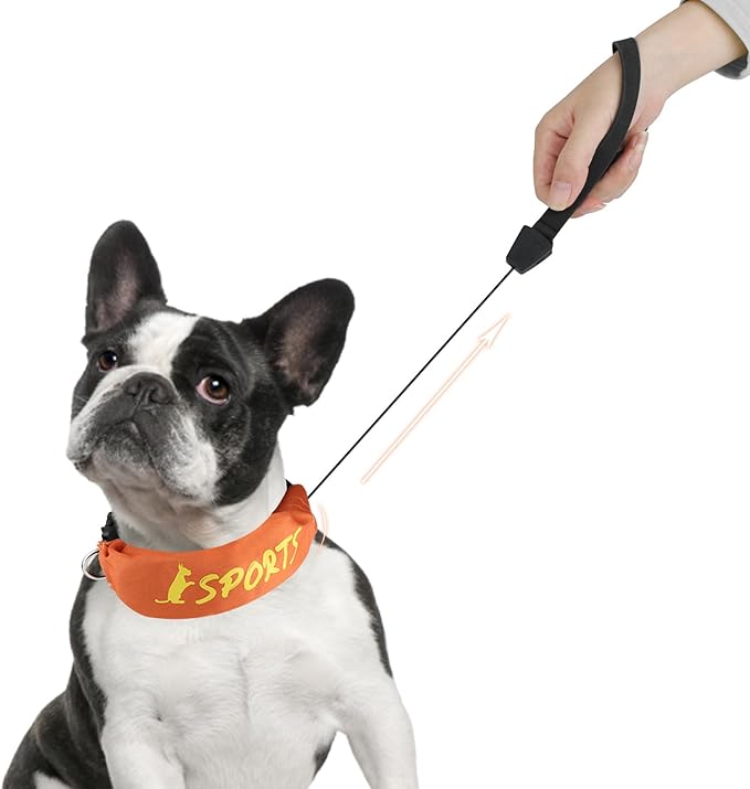 NAMSAN Retractable Dog Leash Collar for Small to Medium Dogs, Dog Collar with Retractable Leash Built-in, All-in-One, Adjustable, Orange