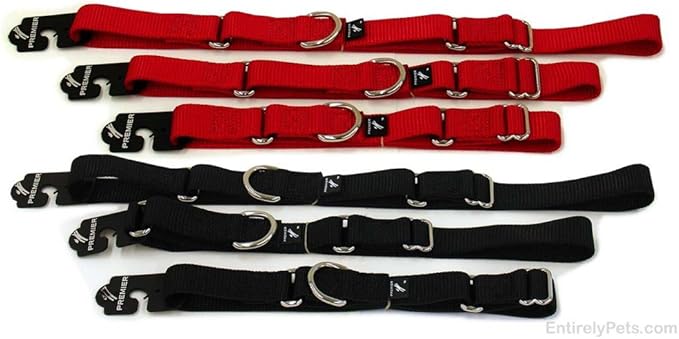 The Premier Collar ( 1 inch ), COLORS: Black, SIZES: Large 14in20in